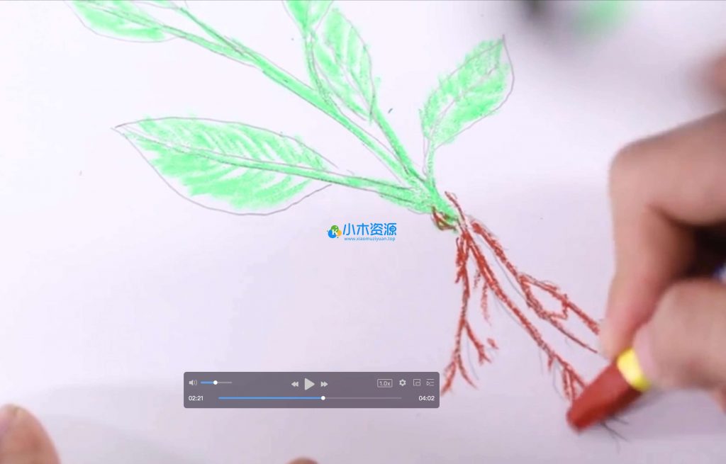 图片[3]-儿童实验科学启蒙视频课（1-9年级）